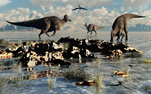 Herd of Corythosaurus duckbill dinosaurs grazing Herd of Corythosaurus duckbill dinosaurs grazing