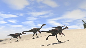 Herd of Gigantoraptors running across desert terrain Herd of Gigantoraptors running across desert terrain