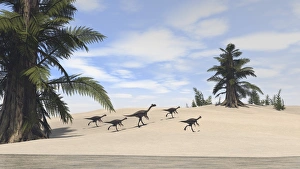 Herd of Gigantoraptors walking along the shore Herd of Gigantoraptors walking along the shore