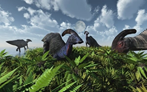 A herd of herbivorous Parasaurolophus dinosaurs grazing A herd of herbivorous Parasaurolophus dinosaurs grazing