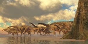 <b class=qtipBold><figcaption>A herd of Spinosphorosaurus</figcaption></b><br>Spinophorosaurus was a herbivorous dinosaur that lived in the Jurassic Period of Niger, Africa.<br><em>© Corey Ford/Stocktrek Images</em> A herd of Spinosphorosaurus