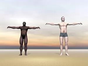 Homo Erectus man next to modern human being