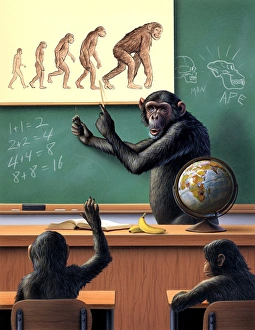 A humorous view of the reverse evolution of man A humorous view of the reverse evolution of man