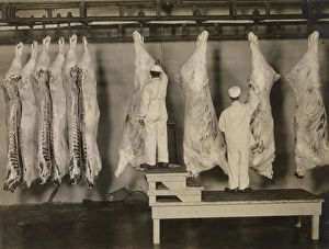 <b class=qtipBold><figcaption>Inspection of animal carcasses, 1910</figcaption></b><br>Inspection of animal carcasses, 1910.<br><em>© Stocktrek Images</em> Inspection of animal carcasses, 1910