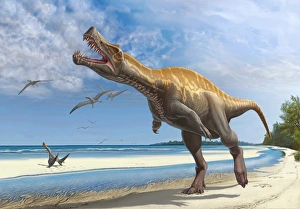 Irritator challengeri lets out a loud roar while walking along a Cretaceous shoreline Irritator challengeri lets out a loud roar while walking along a Cretaceous shoreline