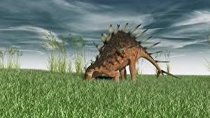 Kentrosaurus grazing in prehistoric grasslands Kentrosaurus grazing in prehistoric grasslands