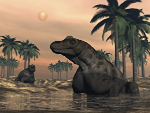 Keratocephalus dinosaurs in a small lake at sunset Keratocephalus dinosaurs in a small lake at sunset