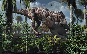 The king of killers, Tyrannosaurus Rex, kills a Triceratops as its next meal The king of killers, Tyrannosaurus Rex, kills a Triceratops as its next meal