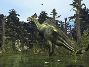 A Lambeosaurus rears onto its hind legs in response to a threat A Lambeosaurus rears onto its hind legs in response to a threat