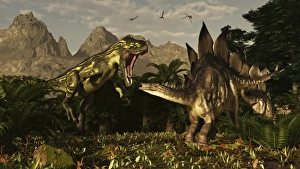 A large carnivorous Torvosaurus preying on a Stegosaurus A large carnivorous Torvosaurus preying on a Stegosaurus