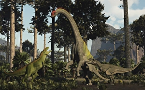 A large Chubutisaurus is a attacked by a pair of Tyrannotitans A large Chubutisaurus is a attacked by a pair of Tyrannotitans