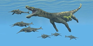 A large Nothosaurus reptile preys on Shonisaurus Ichthyosaurs in Triassic seas A large Nothosaurus reptile preys on Shonisaurus Ichthyosaurs in Triassic seas