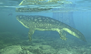 A Late Devonian Period Ichthyostega submerged in a floodplain A Late Devonian Period Ichthyostega submerged in a floodplain
