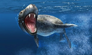 Leopard seal swimming underwater showing its sharp teeth Leopard seal swimming underwater showing its sharp teeth