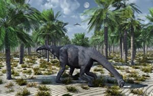 A lone Camarasaurus sauropod dinosaur grazing A lone Camarasaurus sauropod dinosaur grazing