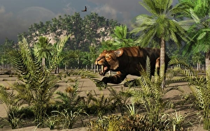 A lone carnivorous Sabre-Toothed Tiger stalking its next meal A lone carnivorous Sabre-Toothed Tiger stalking its next meal