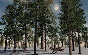 A lone Sabre-Tooth Tiger running through a snow covered forest A lone Sabre-Tooth Tiger running through a snow covered forest