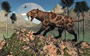 A lone Sabre-Toothed Tiger on the lookout for its next meal A lone Sabre-Toothed Tiger on the lookout for its next meal