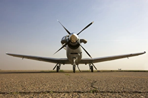 Low angle view of an Iraqi Air Force T-6 Texan trainer aircraft Low angle view of an Iraqi Air Force T-6 Texan trainer aircraft