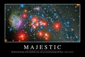 Majestic: Inspirational Quote and Motivational Poster Majestic: Inspirational Quote and Motivational Poster