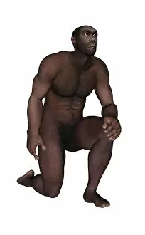 Male homo erectus kneeling