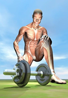 Male musculature looking at a dumbbell on the grass Male musculature looking at a dumbbell on the grass
