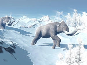 Mammoths walking slowly on the snowy mountain against the wind Mammoths walking slowly on the snowy mountain against the wind