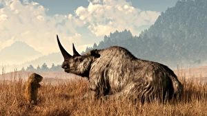 A marmot approaches an old and grey woolly rhinoceros A marmot approaches an old and grey woolly rhinoceros