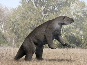Megatherium animal from the Pleistocene epoch of South America Megatherium animal from the Pleistocene epoch of South America