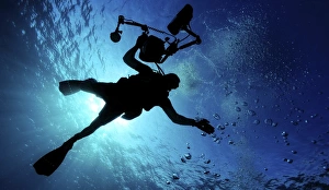 A member of the combat camera underwater photo team A member of the combat camera underwater photo team