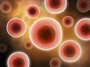 <b class=qtipBold><figcaption>Microscopic view of cell</figcaption></b><br>Microscopic view of cell.<br><em>© Stocktrek Images</em> Microscopic view of cell