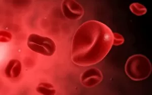 Microscopic view of red blood cells