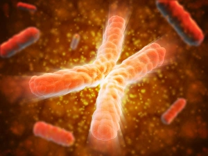 Microscopic view of telomeres highlighted at the tips of chromosome Microscopic view of telomeres highlighted at the tips of chromosome