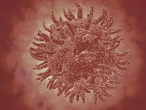 Microscopic view of yellow fever virus