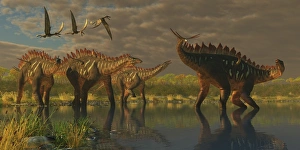 A Miragaia dinosaur bellows in protest as others try to join him in the marsh A Miragaia dinosaur bellows in protest as others try to join him in the marsh