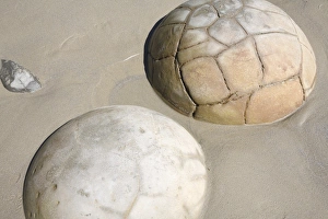 Moeraki Boulders, Koekohe Beach, New Zealand Moeraki Boulders, Koekohe Beach, New Zealand