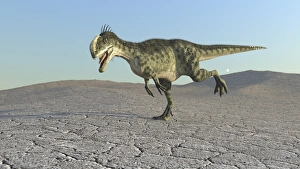 Monolophosaurus running across a barren desert Monolophosaurus running across a barren desert