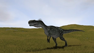 Monolophosaurus walking across a grassy field Monolophosaurus walking across a grassy field