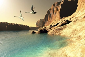 <b class=qtipBold><figcaption>Two Mute Swans in flight</figcaption></b><br>Two Mute Swans take flight after resting at this wilderness seashore.<br><em>© Corey Ford/Stocktrek Images</em> Two Mute Swans in flight