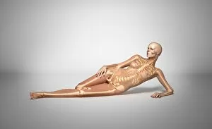 Naked woman laying down with skeletal bones superimposed