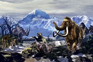 Neanderthals approach a group of Machairodontinae feeding with a herd of Woolly Mammoths
