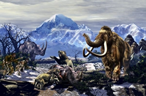 Neanderthals approach a group of Machairodontinae feeding with a herd of Woolly Mammoths Neanderthals approach a group of Machairodontinae feeding with a herd of Woolly Mammoths