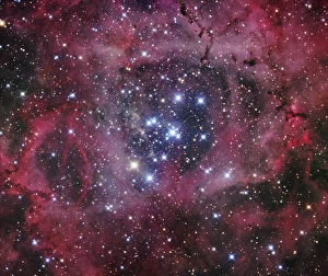 NGC 2244, the open cluster within the Rosette Nebula NGC 2244, the open cluster within the Rosette Nebula