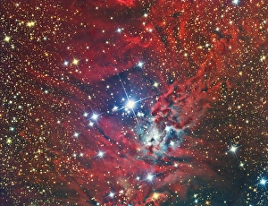 NGC 2264, the Christmas Tree Cluster and nebula NGC 2264, the Christmas Tree Cluster and nebula