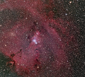 NGC 2264, the Cone and Christmas Tree Nebula NGC 2264, the Cone and Christmas Tree Nebula