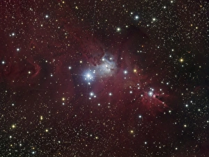 The NGC 2264 region showing the Cone Nebula, Christmas Tree Cluster, and Fox Fur Nebula The NGC 2264 region showing the Cone Nebula, Christmas Tree Cluster, and Fox Fur Nebula
