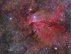 NGC 6188 emission nebula in the constellation Ara NGC 6188 emission nebula in the constellation Ara
