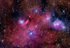 Cosmic Gallery: NGC 6559 is a rich colorful tapestry of diverse nebulosity in the constellation Sagittarius