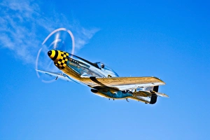 A North American P-51D Mustang in flight near Chino, California A North American P-51D Mustang in flight near Chino, California