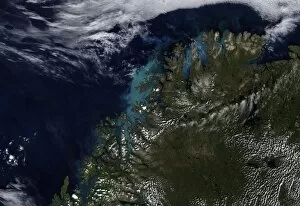 Phytoplankton Collection: The Norwegian Sea